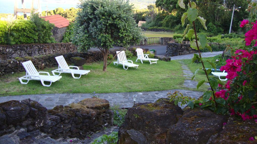 Casas De Campo Housesinpico Prainha  Eksteriør billede