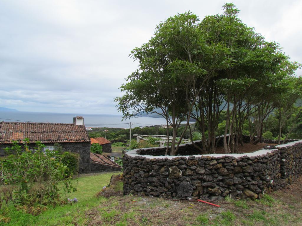 Casas De Campo Housesinpico Prainha  Eksteriør billede