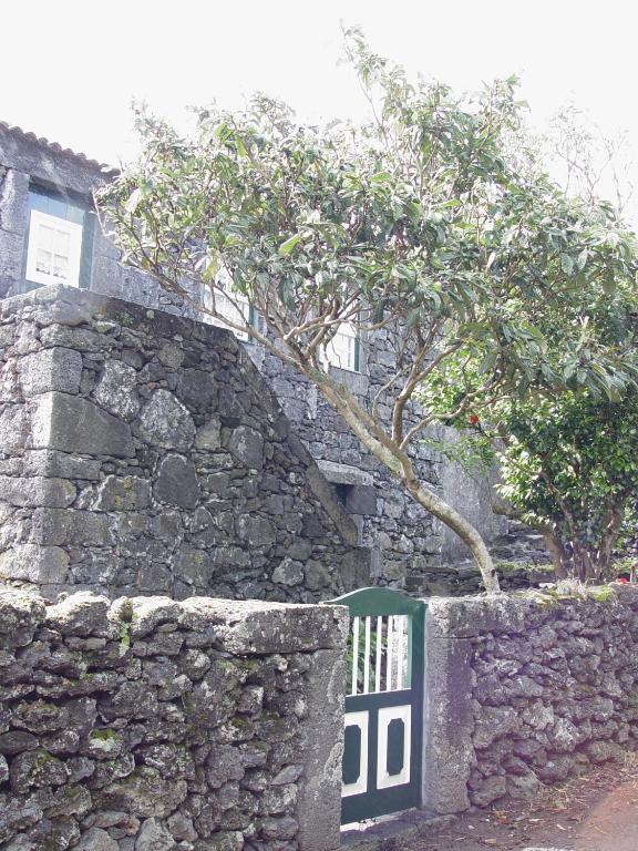 Casas De Campo Housesinpico Prainha  Eksteriør billede