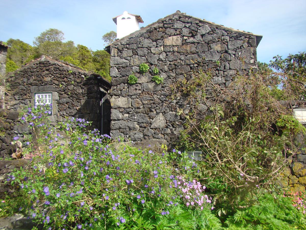 Casas De Campo Housesinpico Prainha  Eksteriør billede